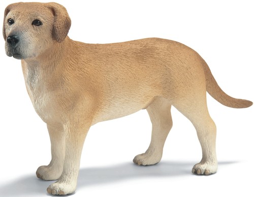 Schleich 16386 labrador rüde - schleich,