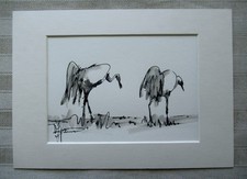 BILD - TUSCHEZEICHNUNG -