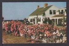 Ansichtskarte Cape Cod Massachusetts USA 1951 Gand Belgien