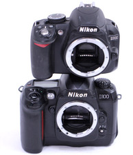 Nikon D100 & D3100