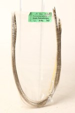 Herei H0 Tunneloberleitung  10 x ca 40cm Ausgleichs - Fahrdraht Messing (235662)