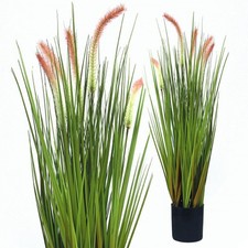 Japanisches Wiesengras 65 cm