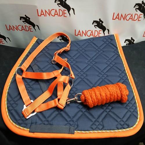 Sport set halfter strick - halfter, und