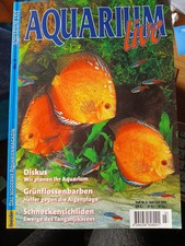 Aquarium live - Diskus - Grünflossenbarben - Schneckencichliden