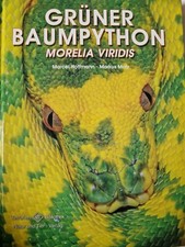 Grüner baumpython markus - grüner,
