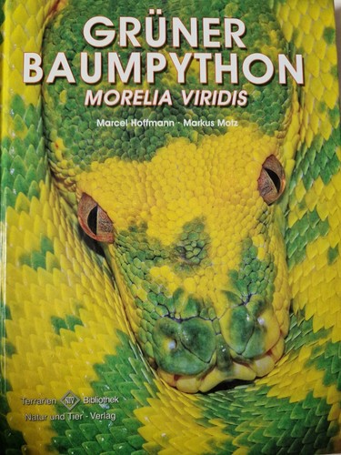 Grüner baumpython markus - grüner,