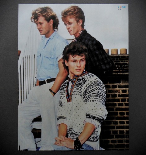 Poster pop rocky - ,