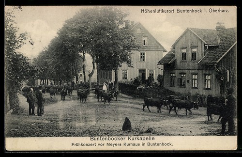 Buntenbock oberharz - buntenbock, i.