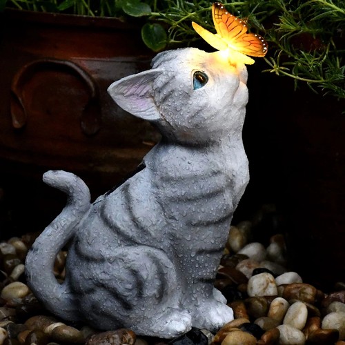 Katze solarlampe solarlaterne - katze,