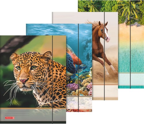 Sammelmappe tiere gummizug - sammelmappe,