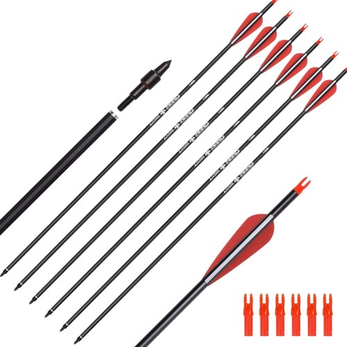 Carbonpfeile zoll stück - zoll,