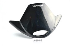 Triumph Speed Triple 955i T509 BJ 1997 - Windschild Flyscreen geklebt A254B