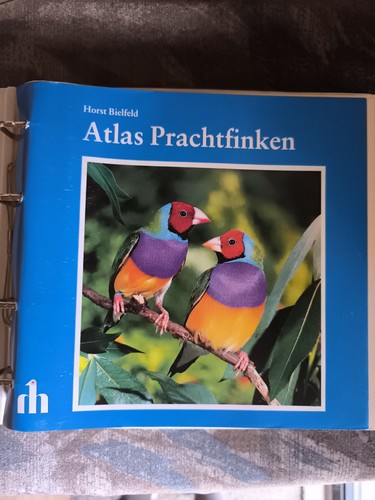 Atlas prachtfinken horst - prachtfinken,,
