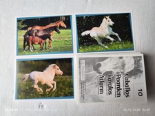 105 Sticker Pferde - ein