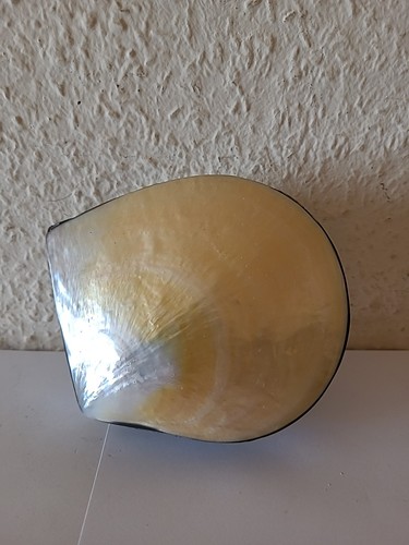 Schmuck dose schatulle - schmuck,