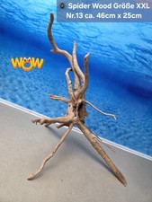 👋XXL Moorkien - Spiderwood Aquarium Wurzel