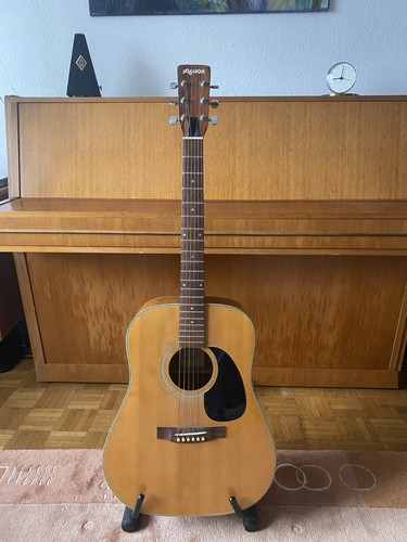 Akustikgitarre - ,