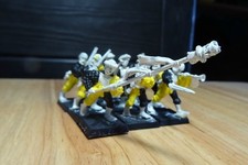 Warhammer Fantasy 9 Musketenschützen des Imperiums (Staatstruppen), teils bemalt