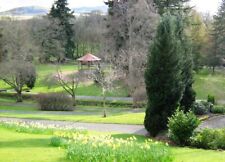 Foto 6x4 Musikpavillon, Mcrostie Park, Crieff Crieff\/NN8621 Blick runter um 2009