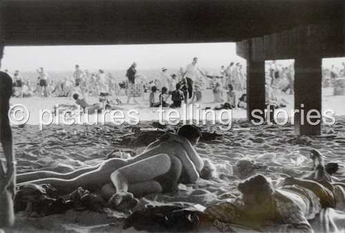 Bruce davidson ltd photo - bruce, ed.