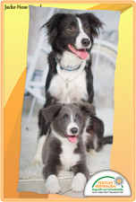 Strandtuch Hund Badetuch Saunatuch Duschtuch Border Collie Gr: 70x140cm NEU