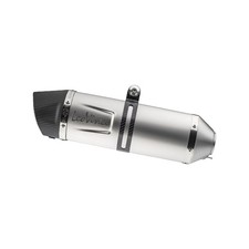 LeoVince Auspuff LV One Evo