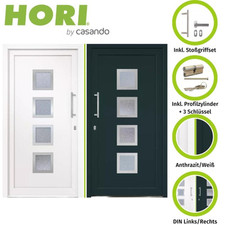 HORI Kunststoff Haustür