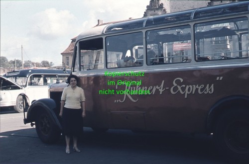 Bus mercedes benz 2600 - bus,