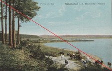 Schillinnen rominter heide - ak,