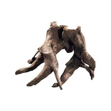 Hobby Rückwandwurzel 1