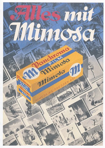 Alles mit mimosa dresden - mit,
