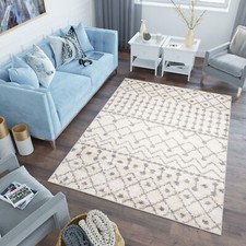 Shaggy Teppich Langflor