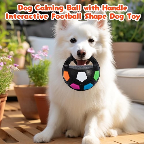 Hundespielzeug ball - hundespielzeug,