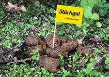 25er Set mit 5 verschiedenen