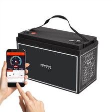 12V 100Ah LiFePO4 Akku BMS +