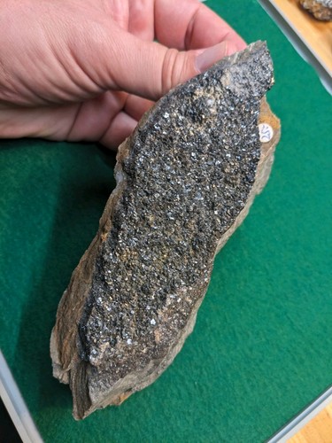 Schöne 25cm zinkblende - schöne, hs