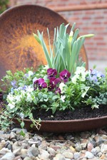 2 Stück Pflanzschalen D 46cm