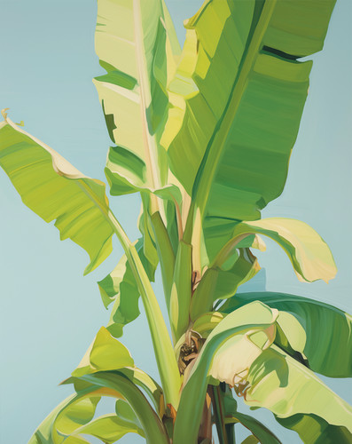 Poster banana leaf tropical - poster,