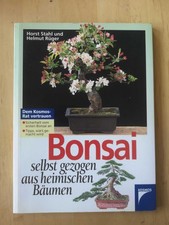 Bonsai selbst gezogen -