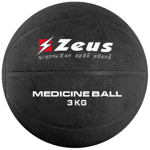 Zeus training fitness - training,