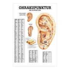 Ohrakupunktur Mini-Poster
