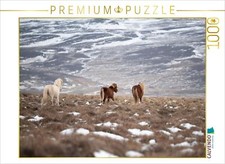 CALVENDO Puzzle Stute mit