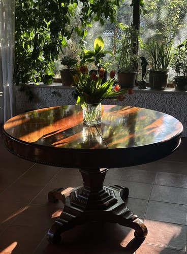 Esstisch mahagoni furniert - mahagoni,