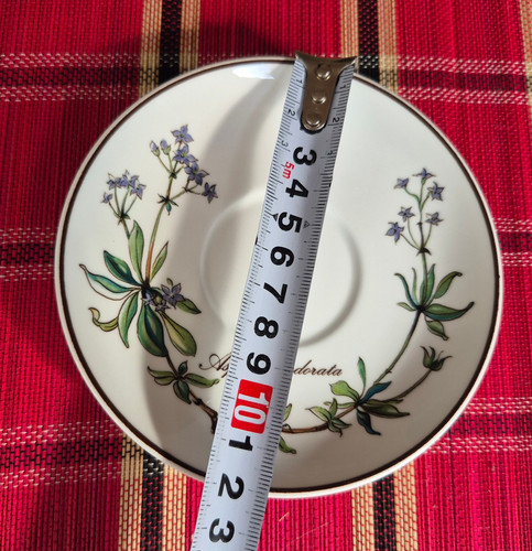 Botanica untertasse ø - botanica,