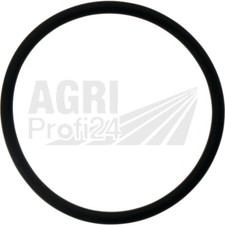 Dichtring Schauglas für