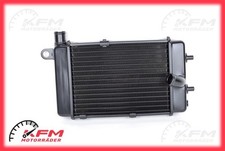 Aprilia RSV Mille Tuono SL1000