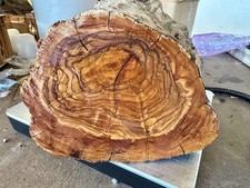 Olivenholz, Olive, zum