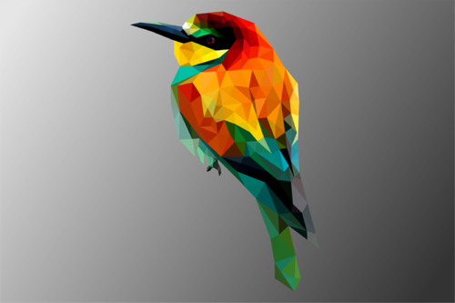 Vogel bild poster - vogel, a4