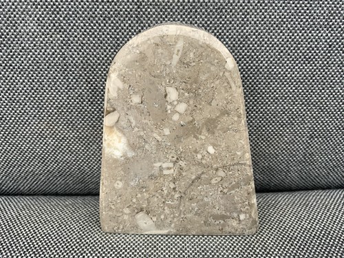 Polierte fossile crinoid - polierte,