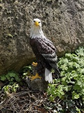 Garten Figur Adler Greifvogel